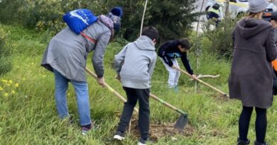 Δράσεις Δεντροφύτευσης από τον Δήμο Παπάγου-Χολαργού