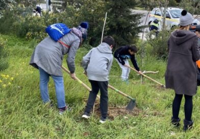 Δράσεις Δεντροφύτευσης από τον Δήμο Παπάγου-Χολαργού